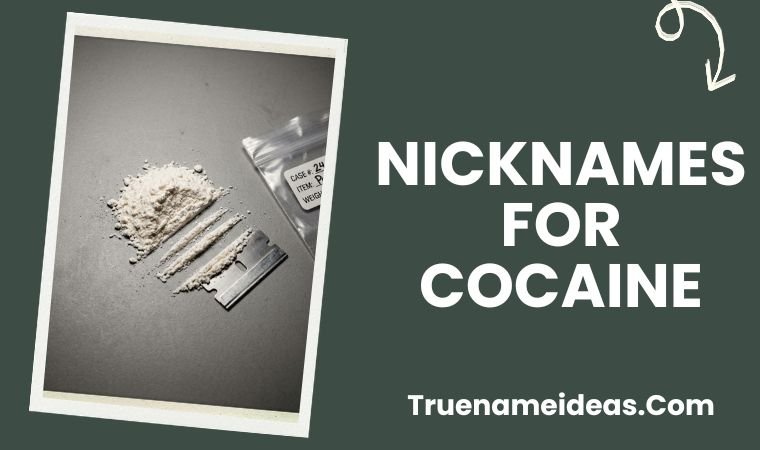 Nicknames for Cocaine