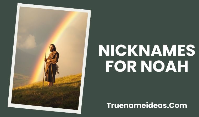 Nicknames for Noah