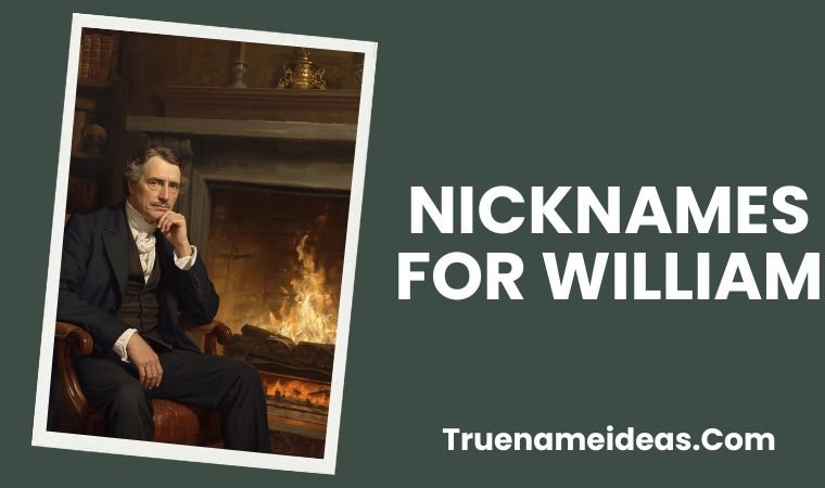 Nicknames for William