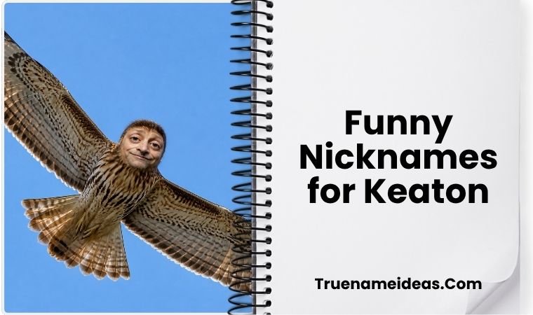 Funny Nicknames for Keaton
