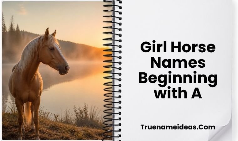 Girl Horse Names Beginning with A