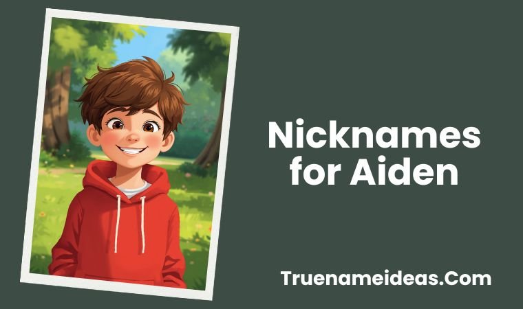 Nicknames for Aiden