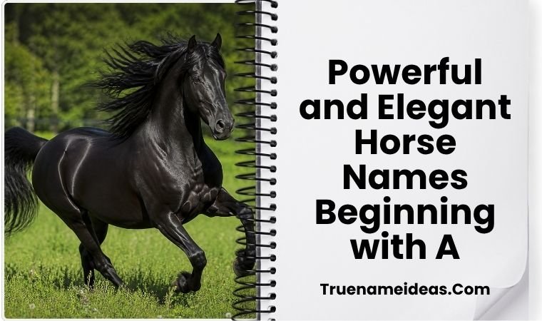 Powerful and Elegant Horse Names Beginning with A